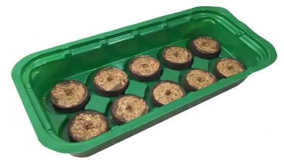 Szklarnia zapewnia idealne warunki do kiełkowania roślin. Wewnątrz utrzymuje się stała temperatura. Przeźroczysta obudowa gwarantuje nieograniczony dostęp światła. 