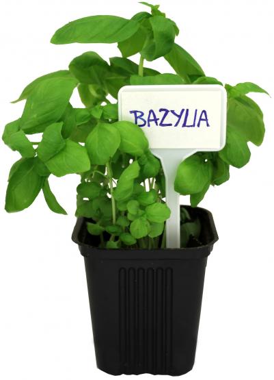 Tabliczki idealne do użycia w donicach lub grządkach w ogrodzie.