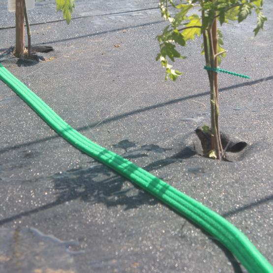 Zielony wąż - pasek z otworami, przez które sączy się woda. Perforowana rura została zaprojektowana do delikatnego podlewania roślin w ogrodzie przy pomocy specjalnej metody. Wewnątrz znajdują się trzy mniejsze rurki, przez które przepływa woda.