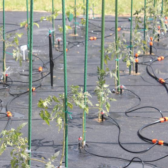 Zestaw 71 elementów do nawadniania MICRO 23m