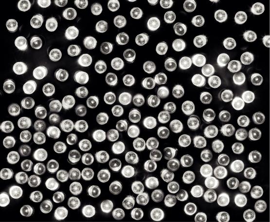 LAMPKI LED 100 L BIAŁY 4,95 M  