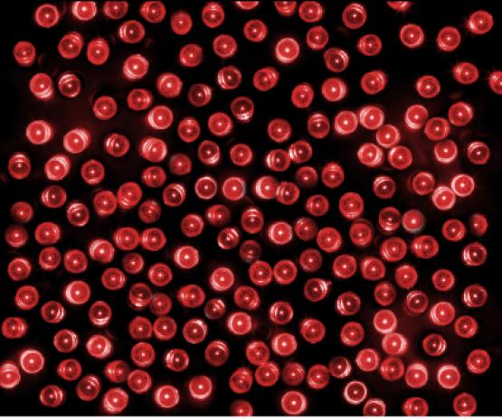 LAMPKI LED 100 L CZERWONY Z DODATKOWYM GNIAZDEM 