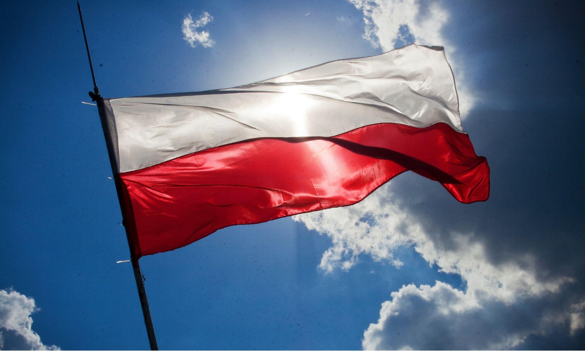 Projekt bez tytułu (1)