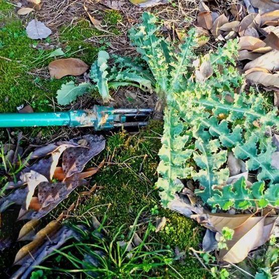 WYCINAK DO CHWASTÓW 100x22x2,3 cm 