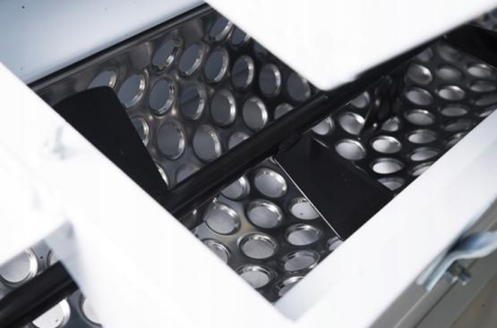 Rozdrabniarka + Odszypułkowiarka do Winogron 900x500 mm Elektryczna – Wydajność 1500 kg/h