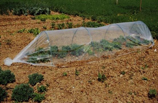 MAŁY TUNEL FOLIOWY OGRODOW 0,5 X 10M SZKLARNIA