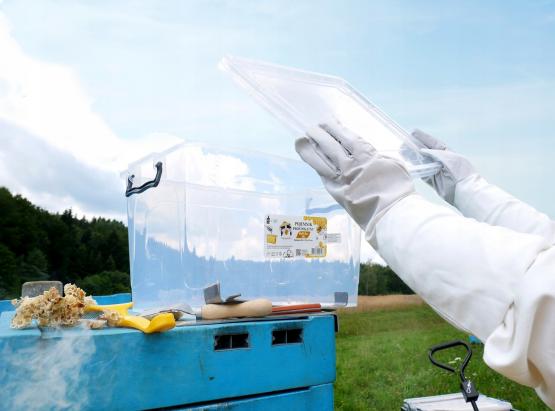 POJEMNIK 30L PLASTER MIODU NA RAMKI WIELKOPOLSKIE