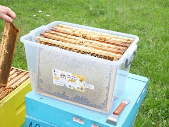 POJEMNIK 30L PLASTER MIODU NA RAMKI WIELKOPOLSKIE