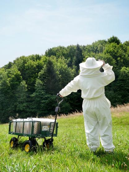 POJEMNIK 30L PLASTER MIODU NA RAMKI WIELKOPOLSKIE