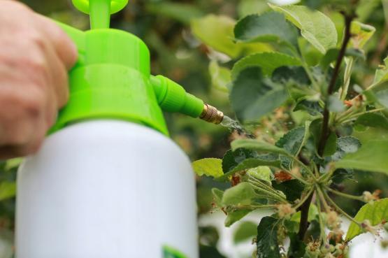 OPRYSKIWACZ CIŚNIENIOWY KOMPRESYJNY 1L SPRYSKIWACZ