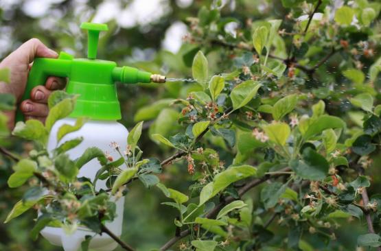 OPRYSKIWACZ CIŚNIENIOWY KOMPRESYJNY 1L SPRYSKIWACZ