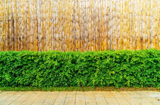 MATA BAMBUSOWA 200 cm x 300 cm x 12 mm