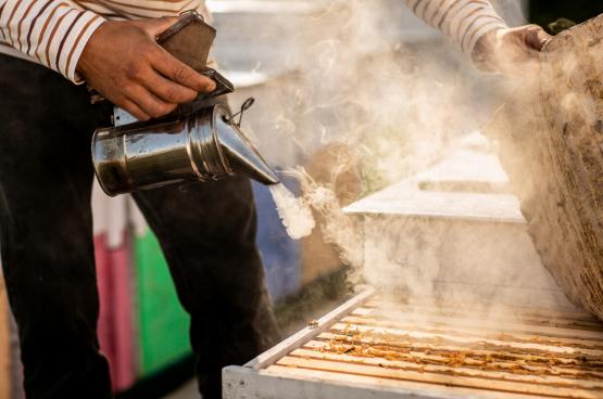 PODKURZACZ PSZCZELARSKI ZE STALI NIERDZEWNEJ 28 CM 