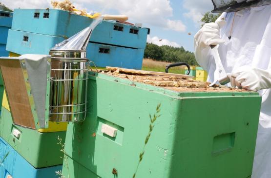 DŁUTO PSZCZELARSKIE NIERDZEWNE Z ROZPIERAKIEM 26 CM