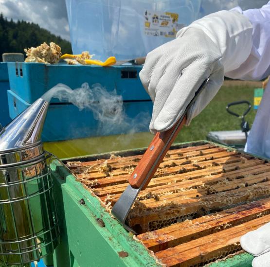 DŁUTO PSZCZELARSKIE NIERDZEWNE W OPRAWIE DREWNIANEJ 20 CM