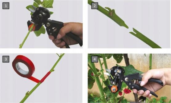 SEKATOR NOŻYCOWY DO SZCZEPIENIA GAŁĘZI Z TAŚMĄ