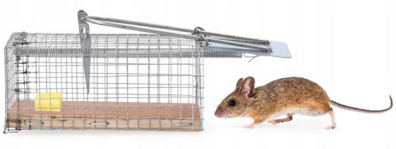 Pułapka na myszy i szczury Żywołapka  24 x 10 x 10 cm