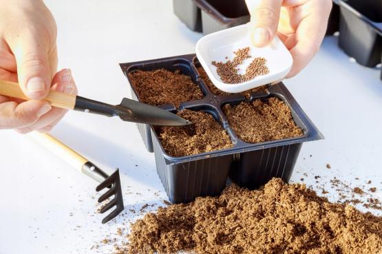 ZESTAW NARZĘDZI OGRODOWYCH ( KIELNIA, TRANSPLANTER, GRABKI ) 