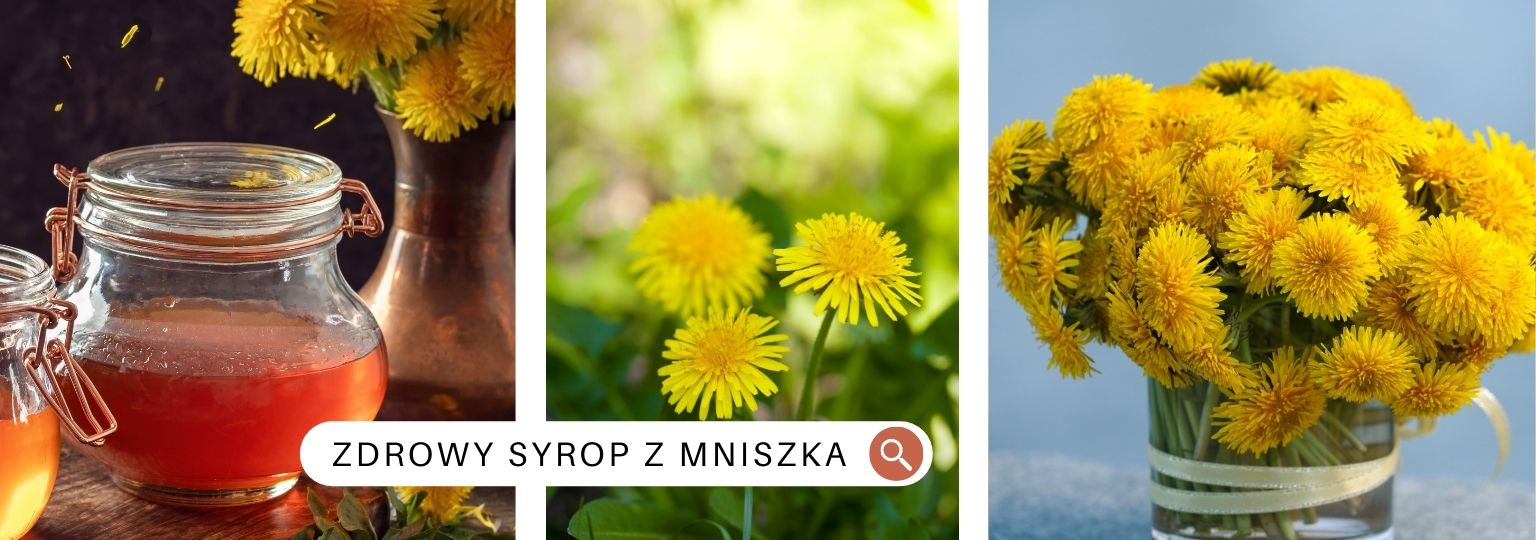 ZDROWY SYROP Z MNISZKA