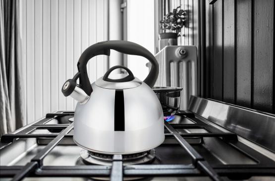 CZAJNIK ZE STALI NIERDZEWNEJ HAZEL 3,0L