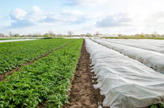 AGROWŁÓKNINA 2 x 10 M ZIMOWA BIAŁA 30g