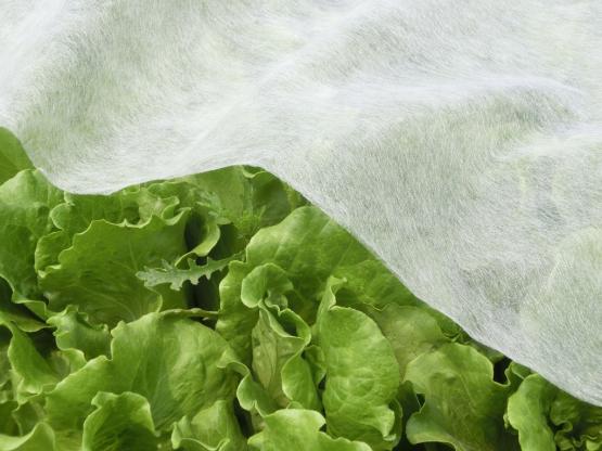 AGROWŁÓKNINA 2 x 5 M ZIMOWA BIAŁA 30g 