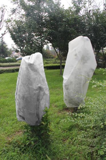 KPL.3 KAPTURÓW OCHRONNYCH DO ROŚLIN 1 x 1.6 M BIAŁY 30g 