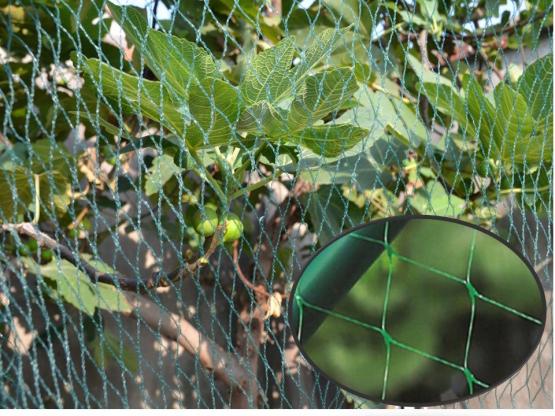 Siatka ogrodowa do roślin pnących 1,8x2,7m