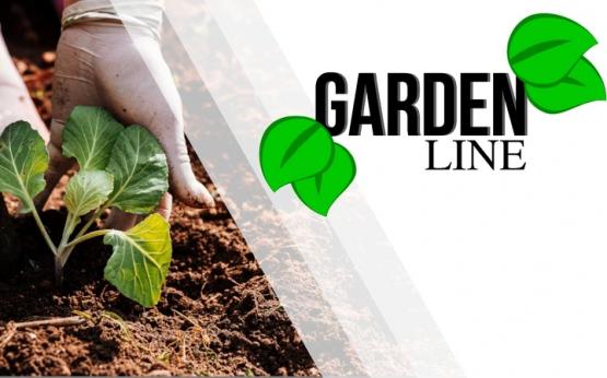 Komplet 24 doniczek torfowych 80x80 mm