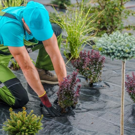 AGROTKANINA CZARNA 1,6 x 50 M 90 g/m2