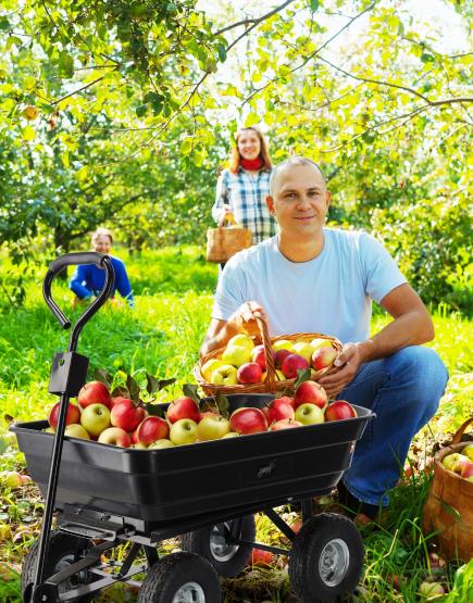 Wózek Ogrodowy Dwufunkcyjny Czarny