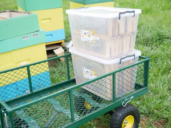 Wózek Ogrodowy Dwufunkcyjny Zielony Garden Line