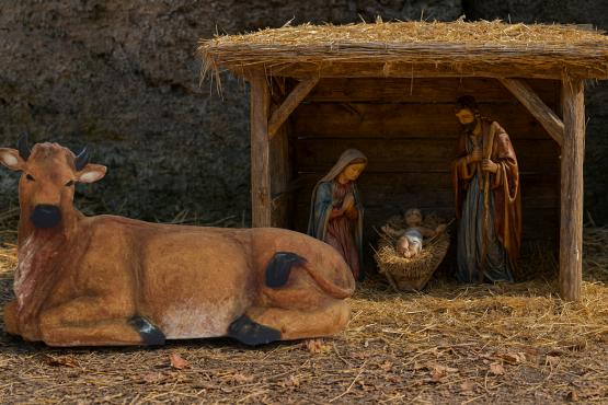 FIGURA WÓŁ 60 x 28 x 34,5 cm