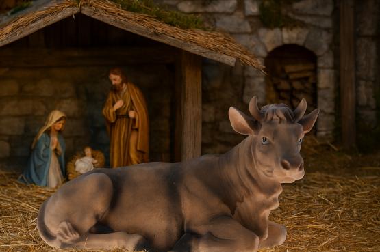 FIGURA KROWA 21 x 50 x 29 CM (91,44 CM)