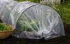 MAŁY TUNEL FOLIOWY OGRODOW 0,5 X 6M SZKLARNIA