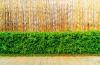 MATA BAMBUSOWA 200 cm x 500 cm x 12 mm 