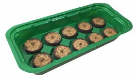 Szklarnia zapewnia idealne warunki do kiełkowania roślin. Wewnątrz utrzymuje się stała temperatura. Przeźroczysta obudowa gwarantuje nieograniczony dostęp światła. 