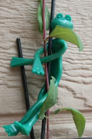 Spinacze ogrodowe pomagają przymocować roślinę do tyczki, stabilizują przez to jej wzrost.