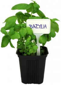 Tabliczki idealne do użycia w donicach lub grządkach w ogrodzie.