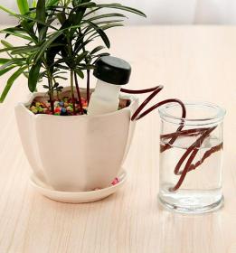 Komplet 2 dozowników do nawadniania z wężem 80 cm