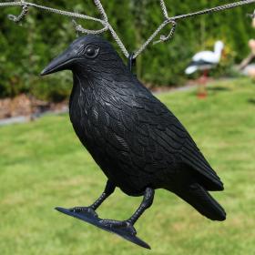 Znakomite rozwiązanie do ogrodu, sadu i na parapet. Świetnie odstrasza szpaki, gołębie, wróble i pozostałe nieproszone ptaki. Wykonany z lekkich materiałów, posiada szpic mocujący z hakiem, dzięki czemu można go zarówno wbić do ziemi, jak i powiesić. Naturalnej wielkości  świetnie imituje prawdziwego kruka.