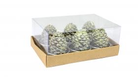 KPL. 6 ŚWIECZEK SZYSZKA 