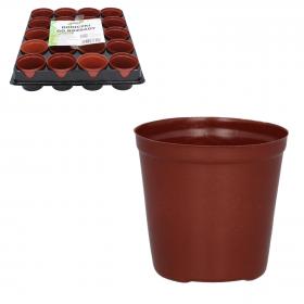 KPL. 20 DONICZEK DO ROZSAD FI 6 CM 