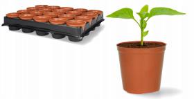 KPL. 20 DONICZEK DO ROZSAD FI 6 CM 