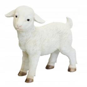 FIGURA OWCA 28 x 9 x 28 cm