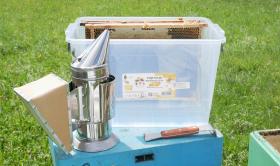 PODKURZACZ PSZCZELARSKI ZE STALI NIERDZEWNEJ 28 CM 