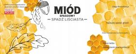 KPL. 100 ETYKIET MIÓD SPADZIOWY  SPADŹ LIŚCIASTA 154 x 60 MM