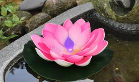 LAMPA SOLARNA PŁYWAJĄCA LILIA 18 x 18 x 6 cm MULTIKOLOR 