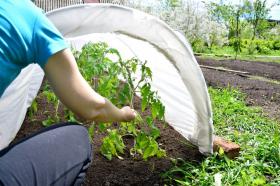 AGROWŁÓKNINA 1.6 x 5 M ZIMOWA BIAŁA 30g 