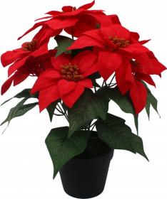 SZTUCZNY KWIAT  GWIAZDA BETLEJEMSKA 35 CM W CZARNEJ DONICZCE CZERWONY